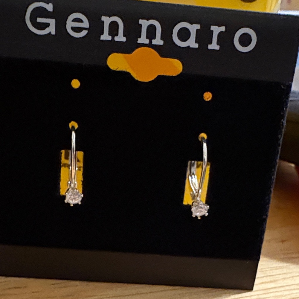 Gennaro Silver Earrings With white Crystal Hinge Earrings